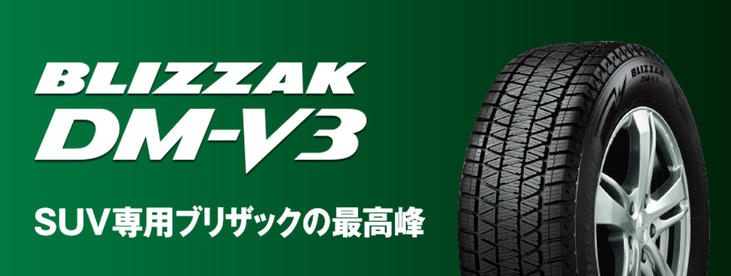 DM-V3