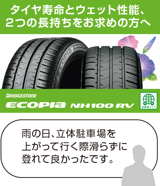 Ecopia NH100RV