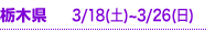 Ȗ
