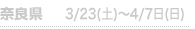 ޗ