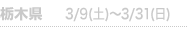 Ȗ