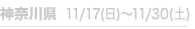 _ސ