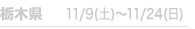 Ȗ