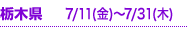 Ȗ