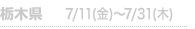 Ȗ