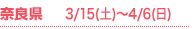 ޗ