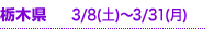 Ȗ