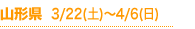R`