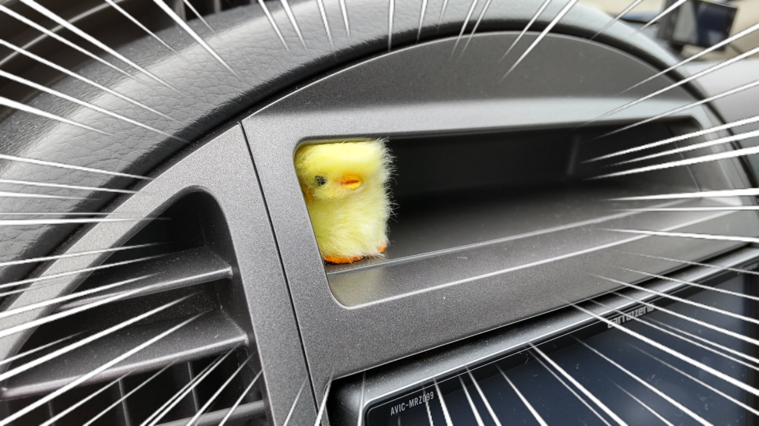 角刈りのヒヨコ(笑) | タイヤウーマンの日記 | ミスタータイヤマン