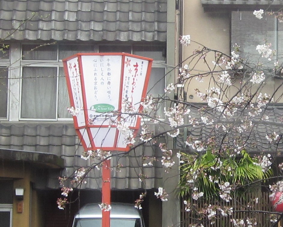 スタッフ日記 京都祇園 白川桜 お知らせ ミスタータイヤマン 高槻店 大阪府 和歌山県のタイヤ カー用品ショップ ブリヂストンのタイヤ専門店