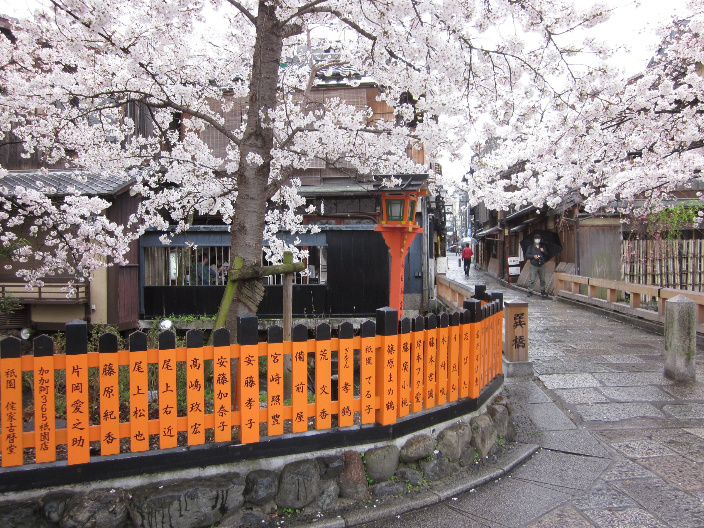 京都祇園 白川桜 スタッフ日記 ミスタータイヤマン 高槻店 大阪府 和歌山県のタイヤ カー用品ショップ ブリヂストンのタイヤ専門店