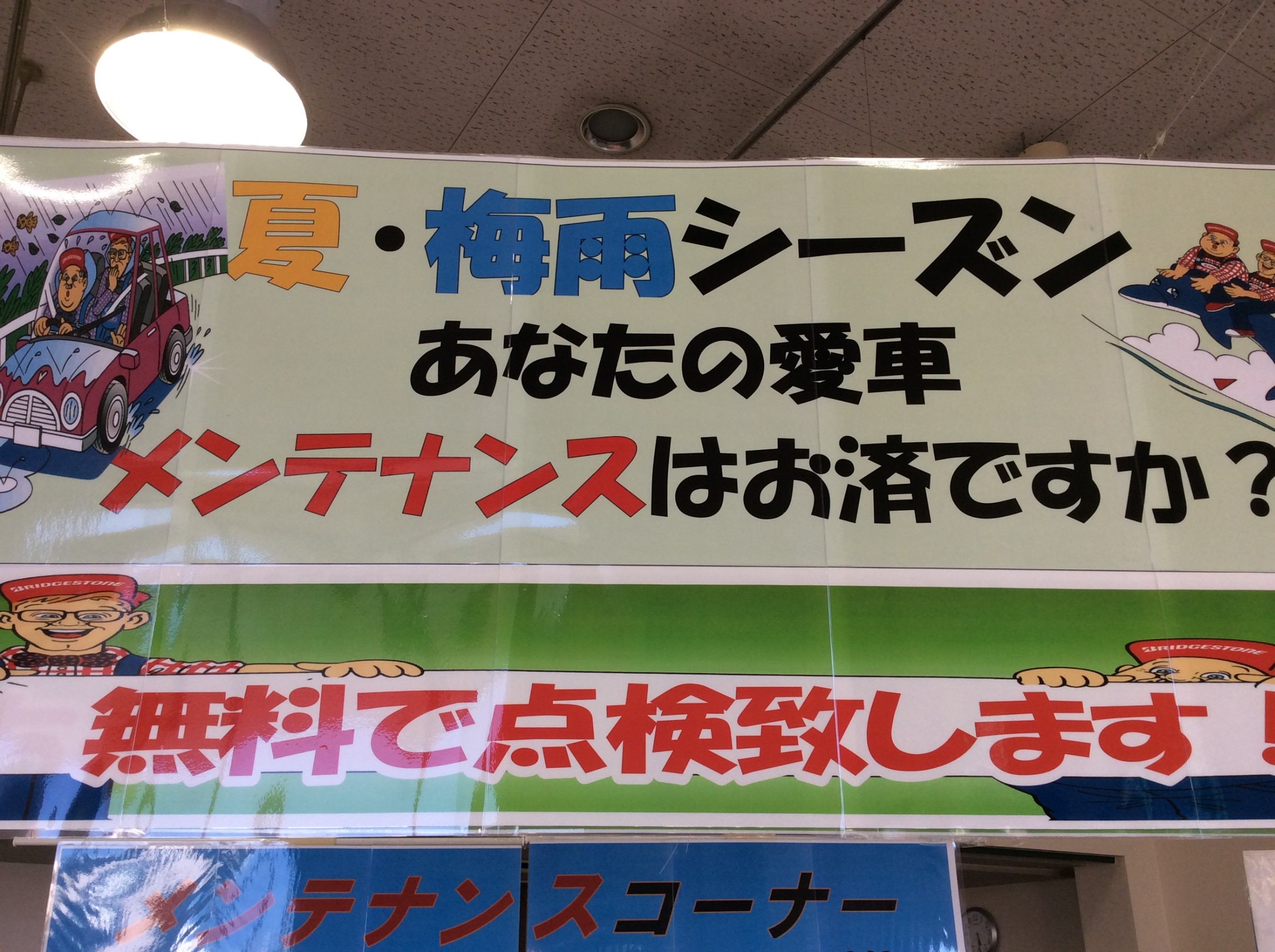 スタッフが撮影した画像