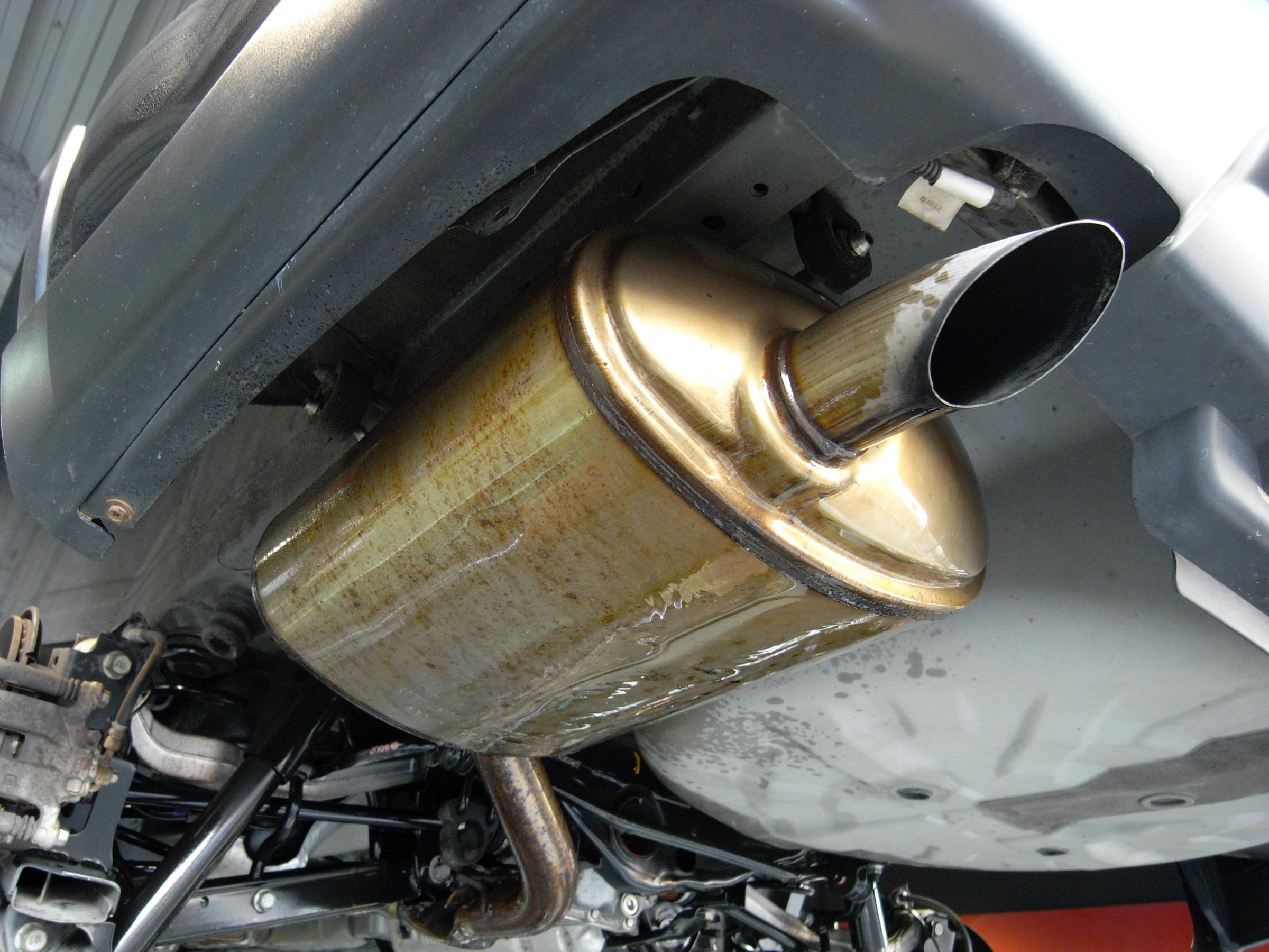 スタッフが撮影した画像