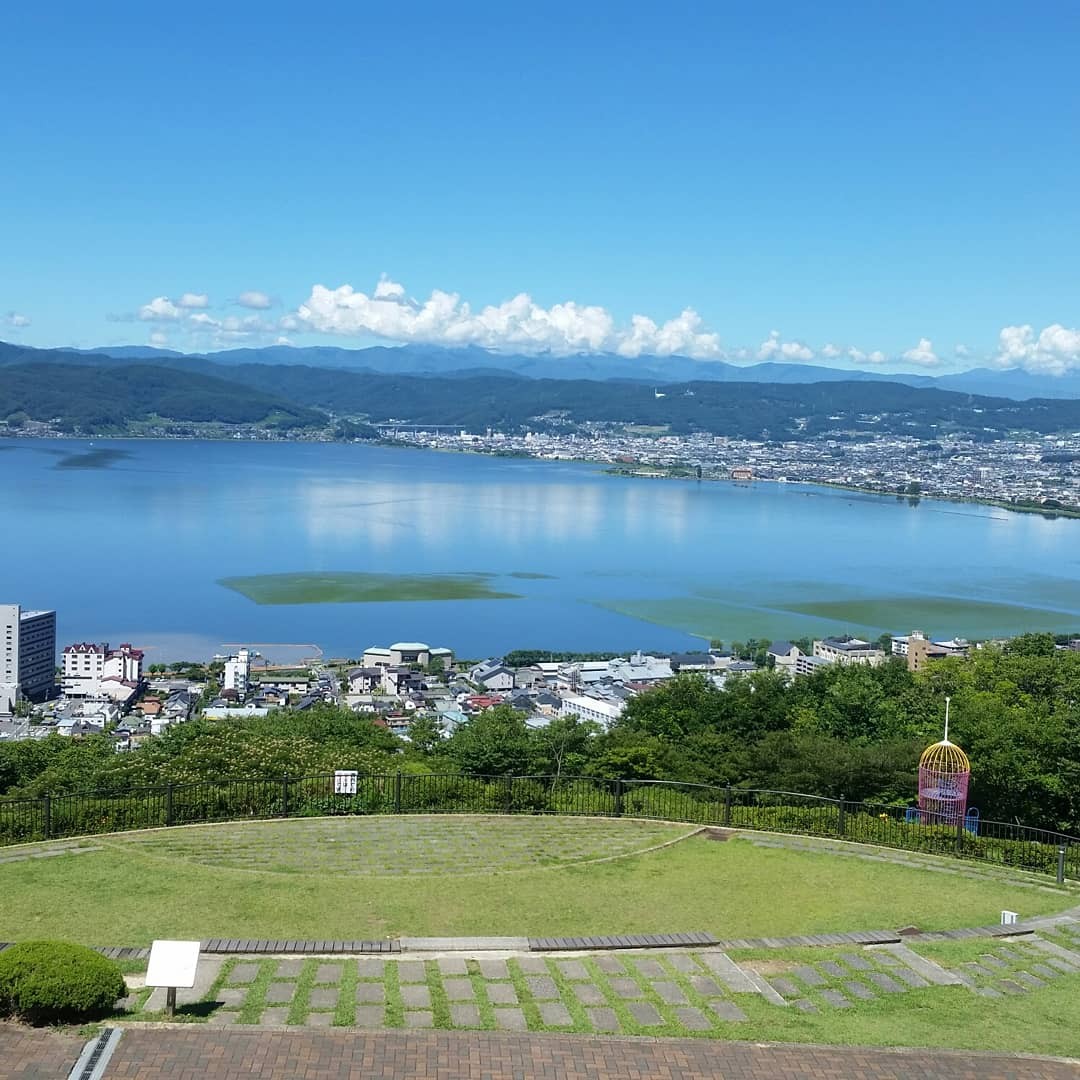 当店スタッフが撮影したものです。