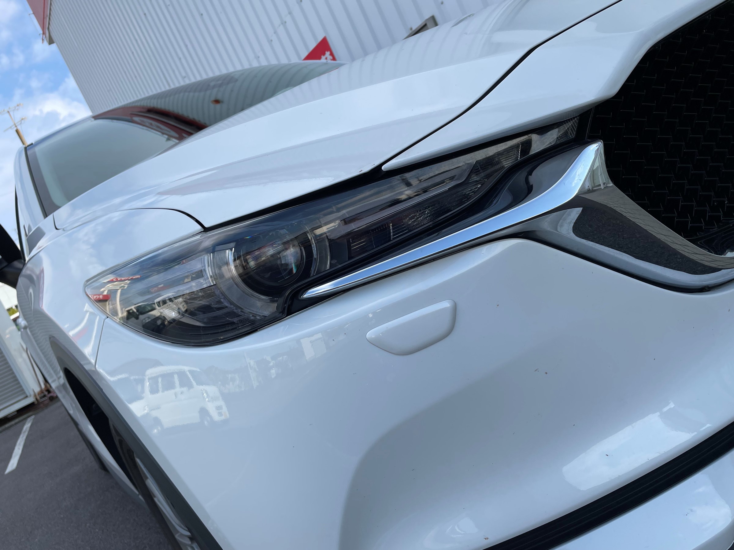 【限定100点】マツダケン_春をひきつれ adidas ZX 10000 