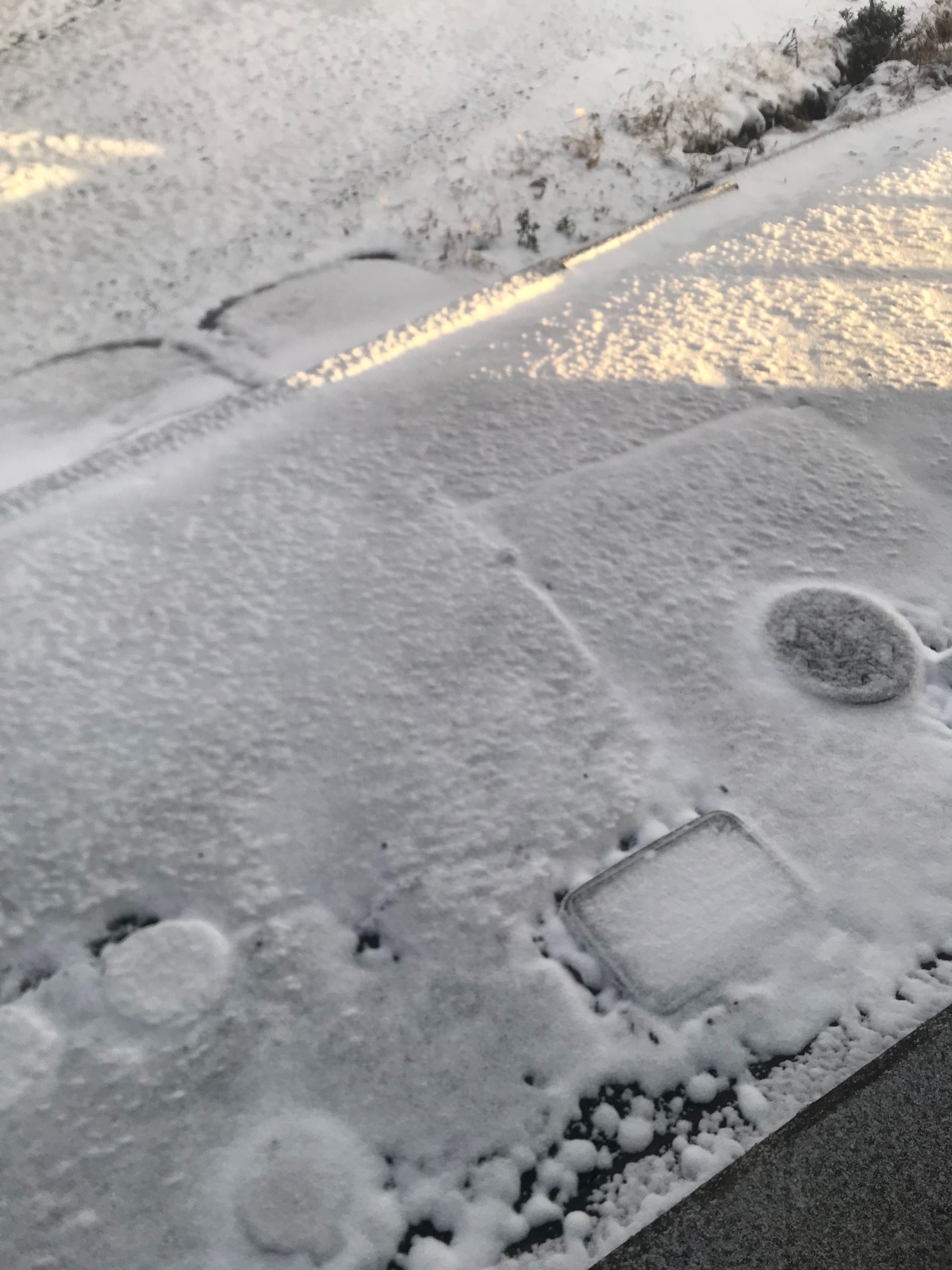 今年の初冠雪