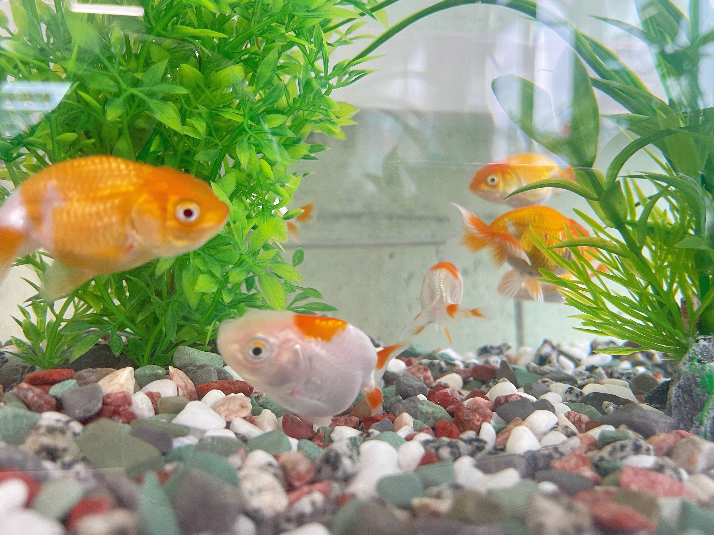 パートナー2！！