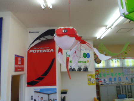 新しい家族が増えました スタッフ日記 ミスタータイヤマン 柳井店 山口県のタイヤ カー用品ショップ ブリヂストンのタイヤ専門店