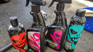 動画