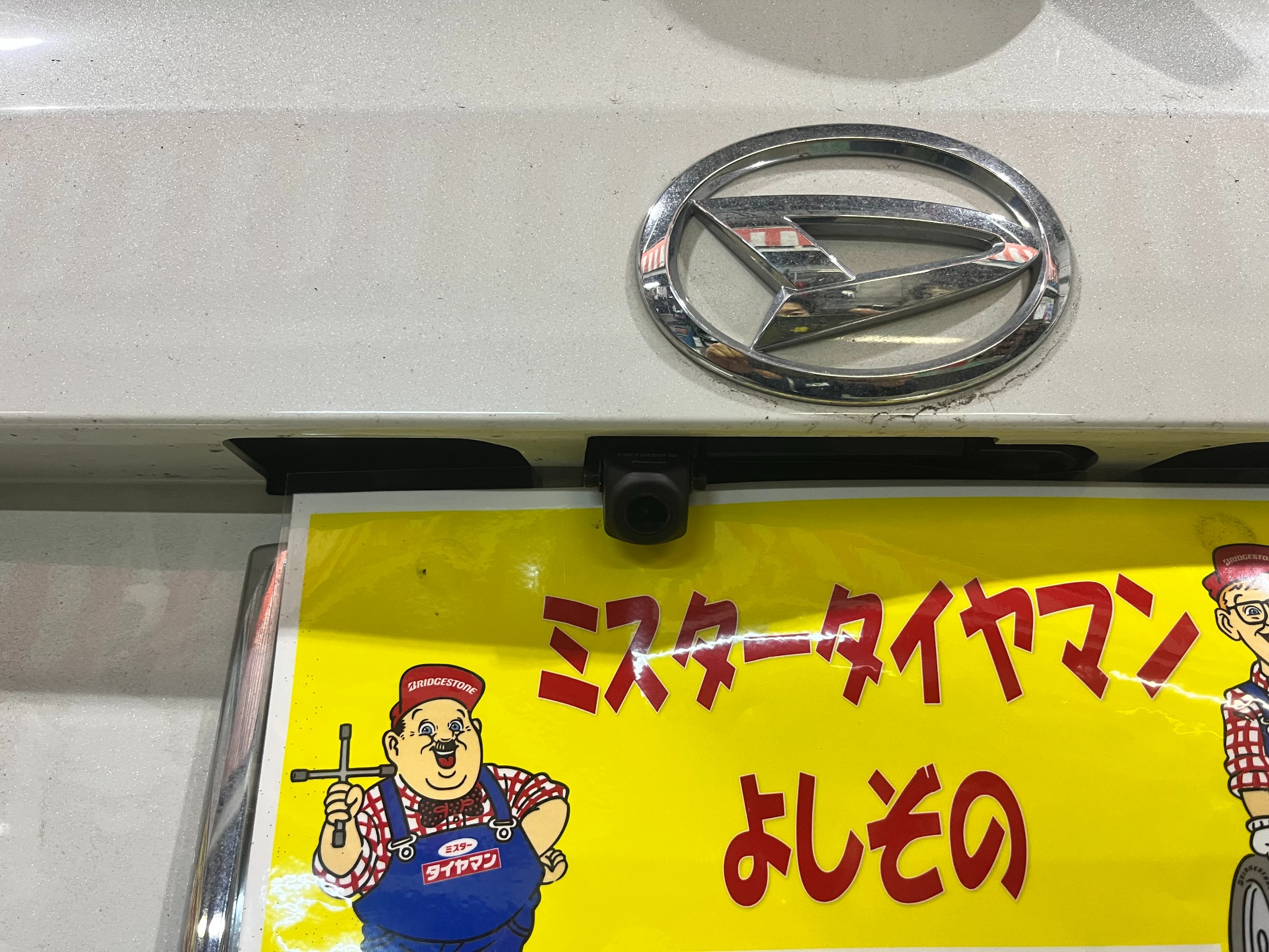 全体
