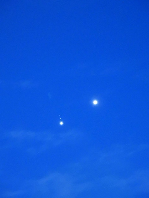 3/2夕方撮影