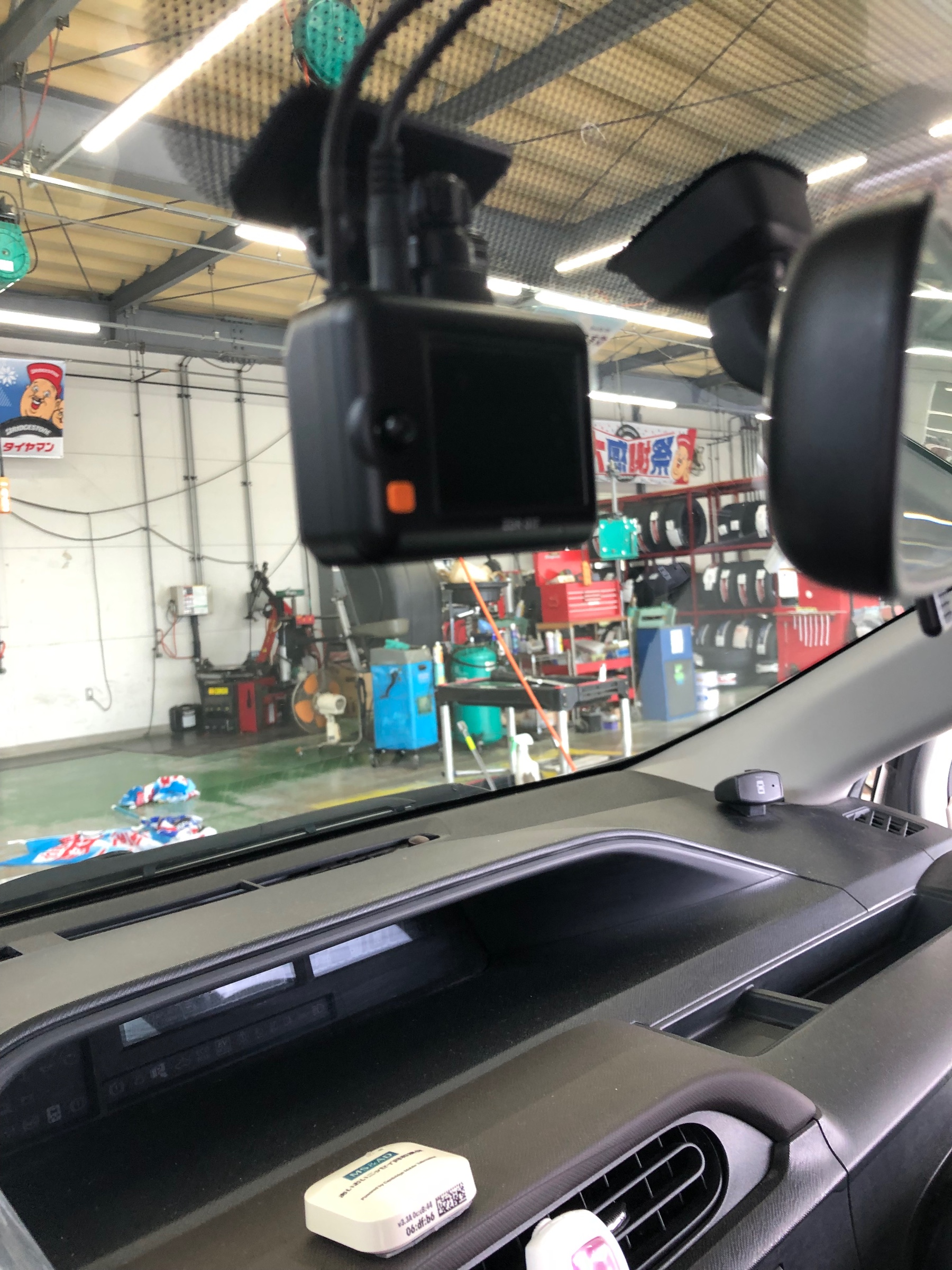 スタッフが撮影しました