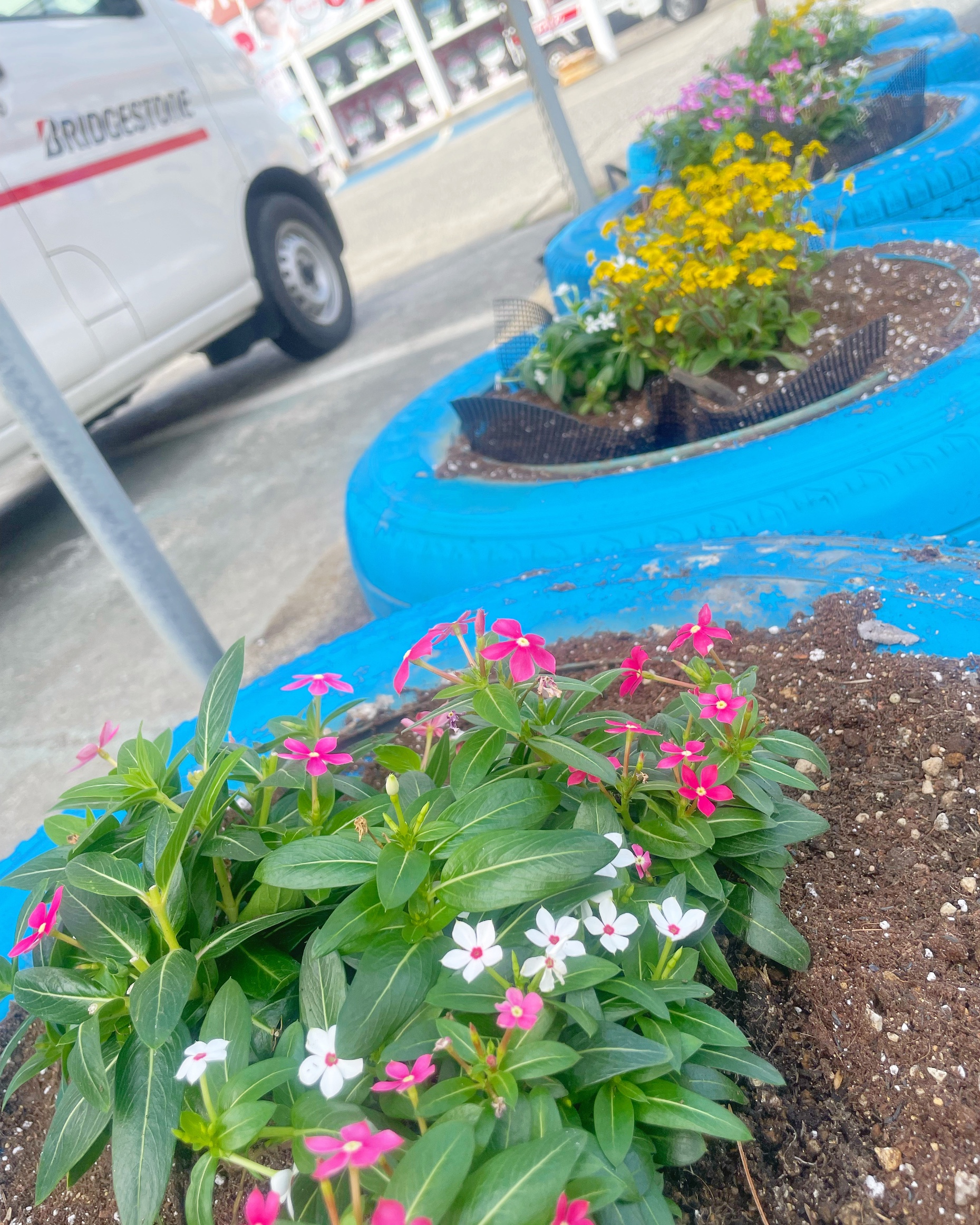 タイヤ花壇