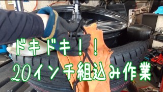 動画