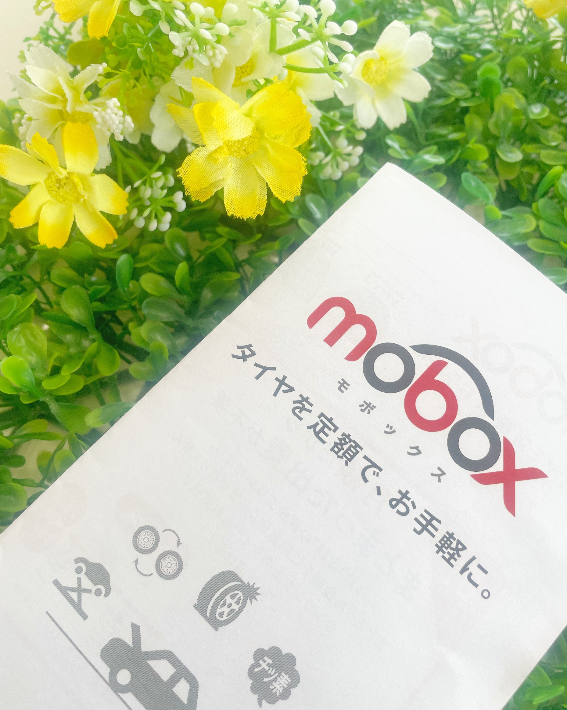 Mobox