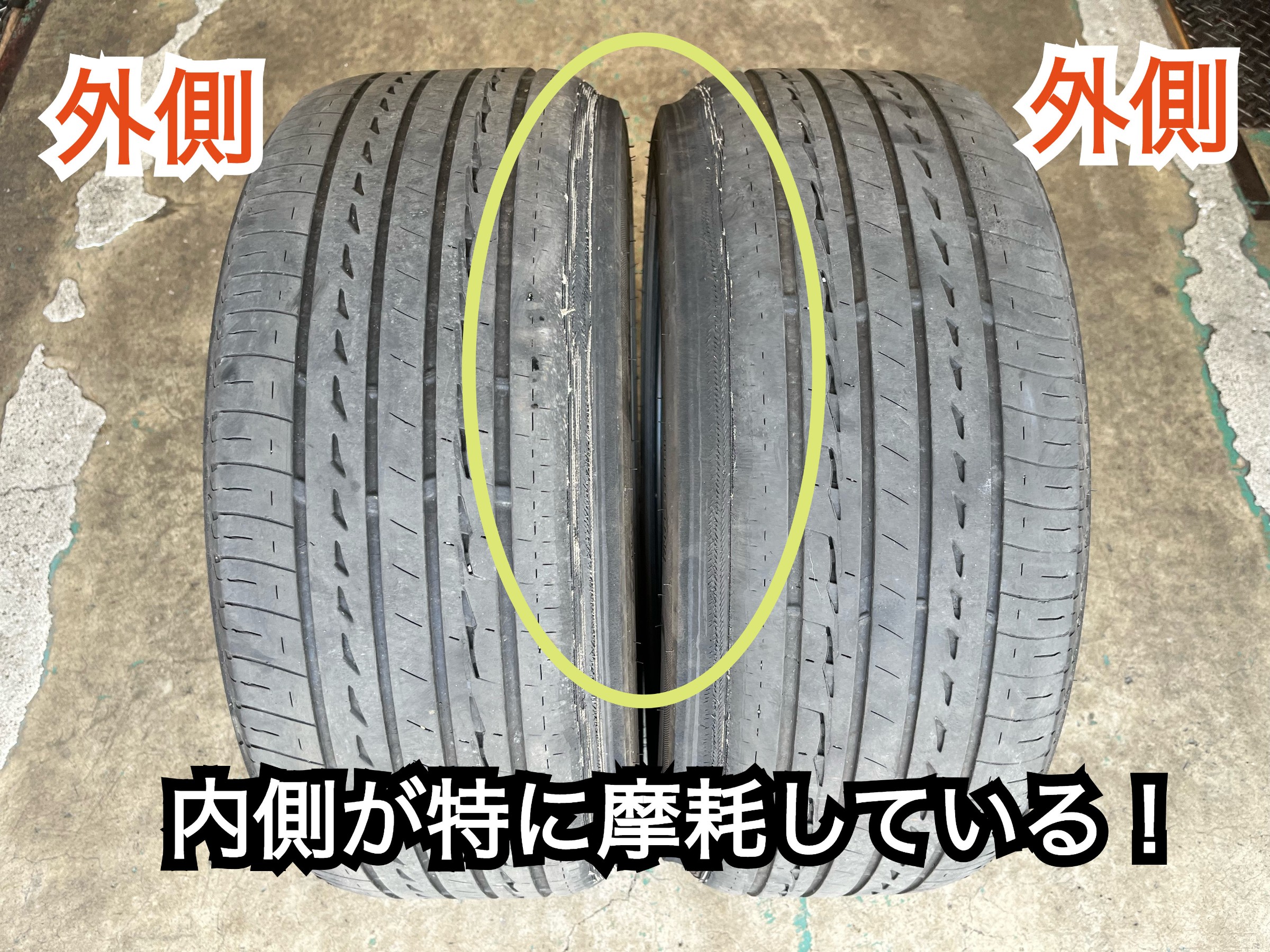 全体