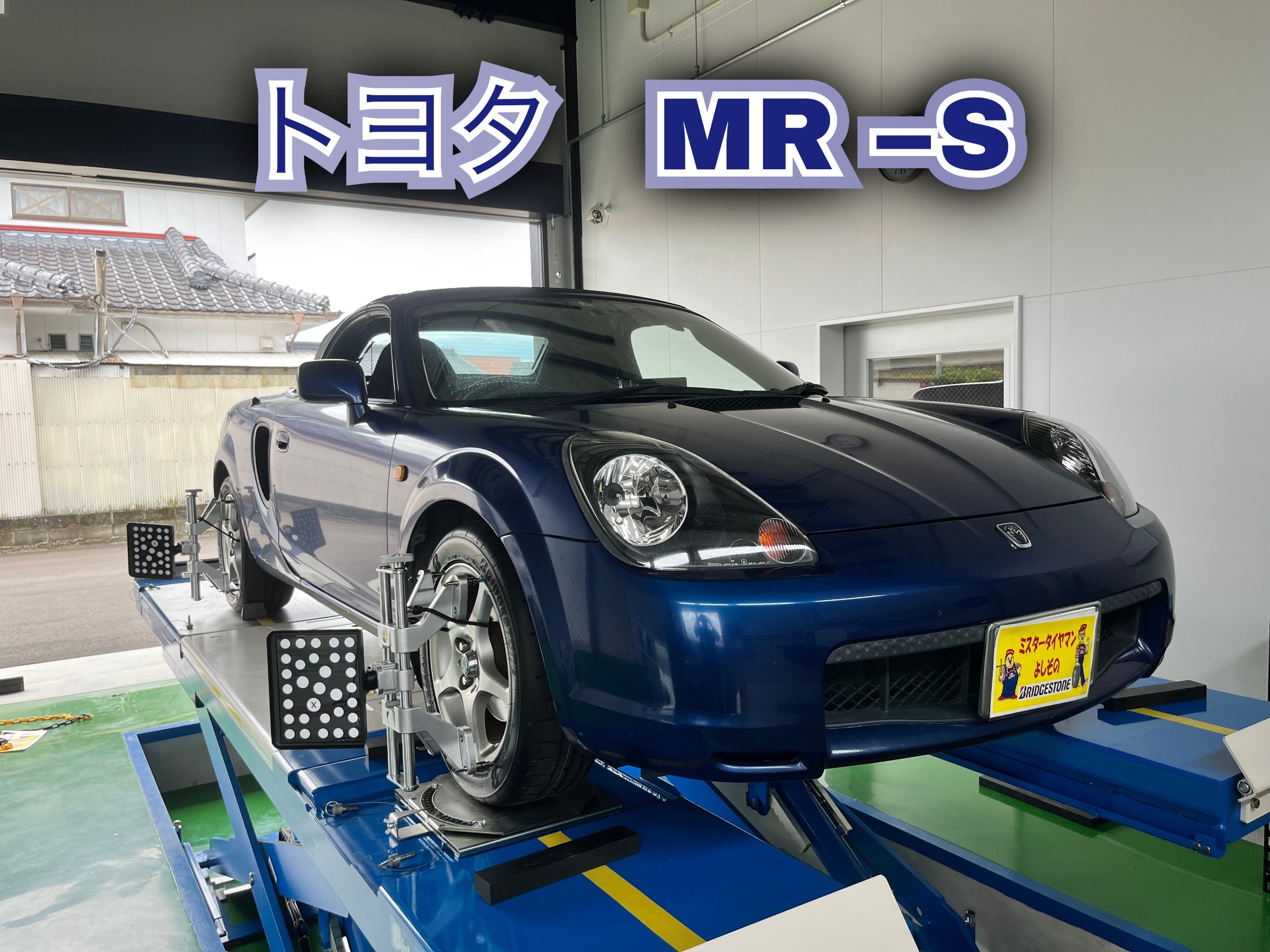 全体