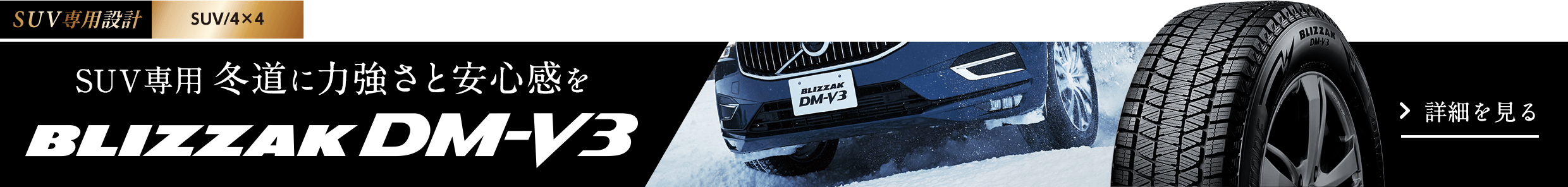 DM-V3 ブリヂストンサイトより引用