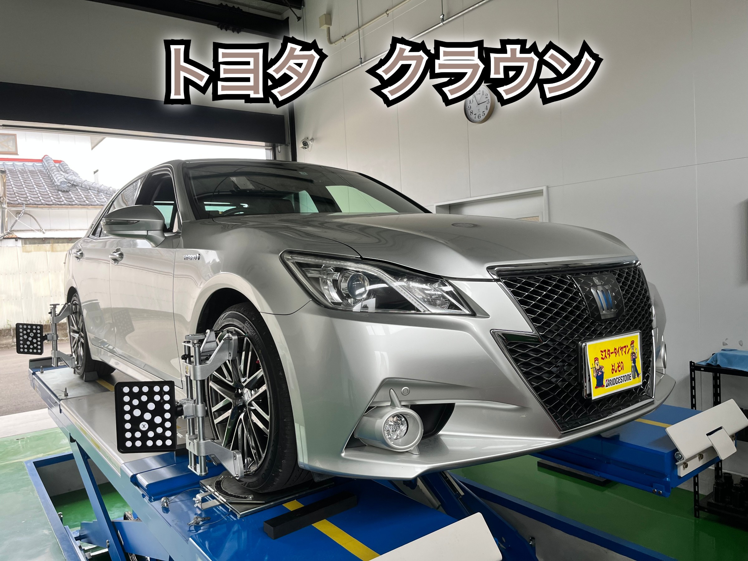 全体