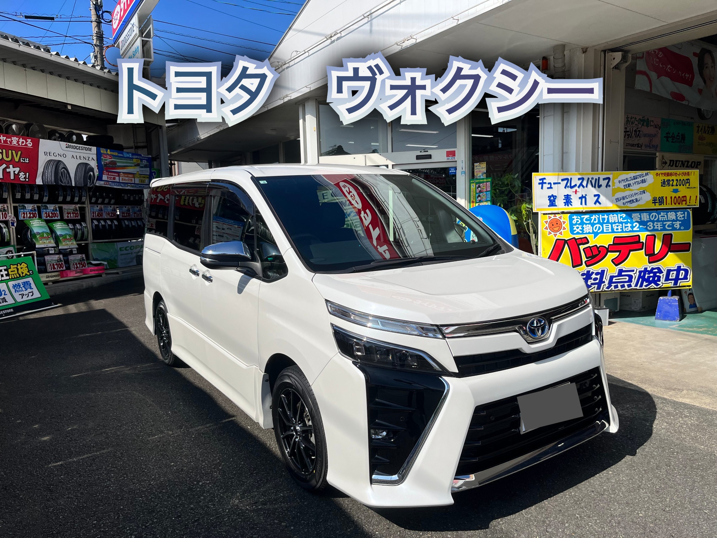 全体