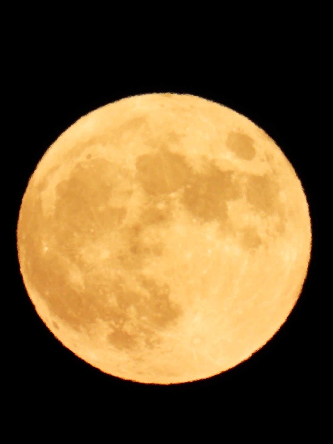 昨夜、私が撮影しました。