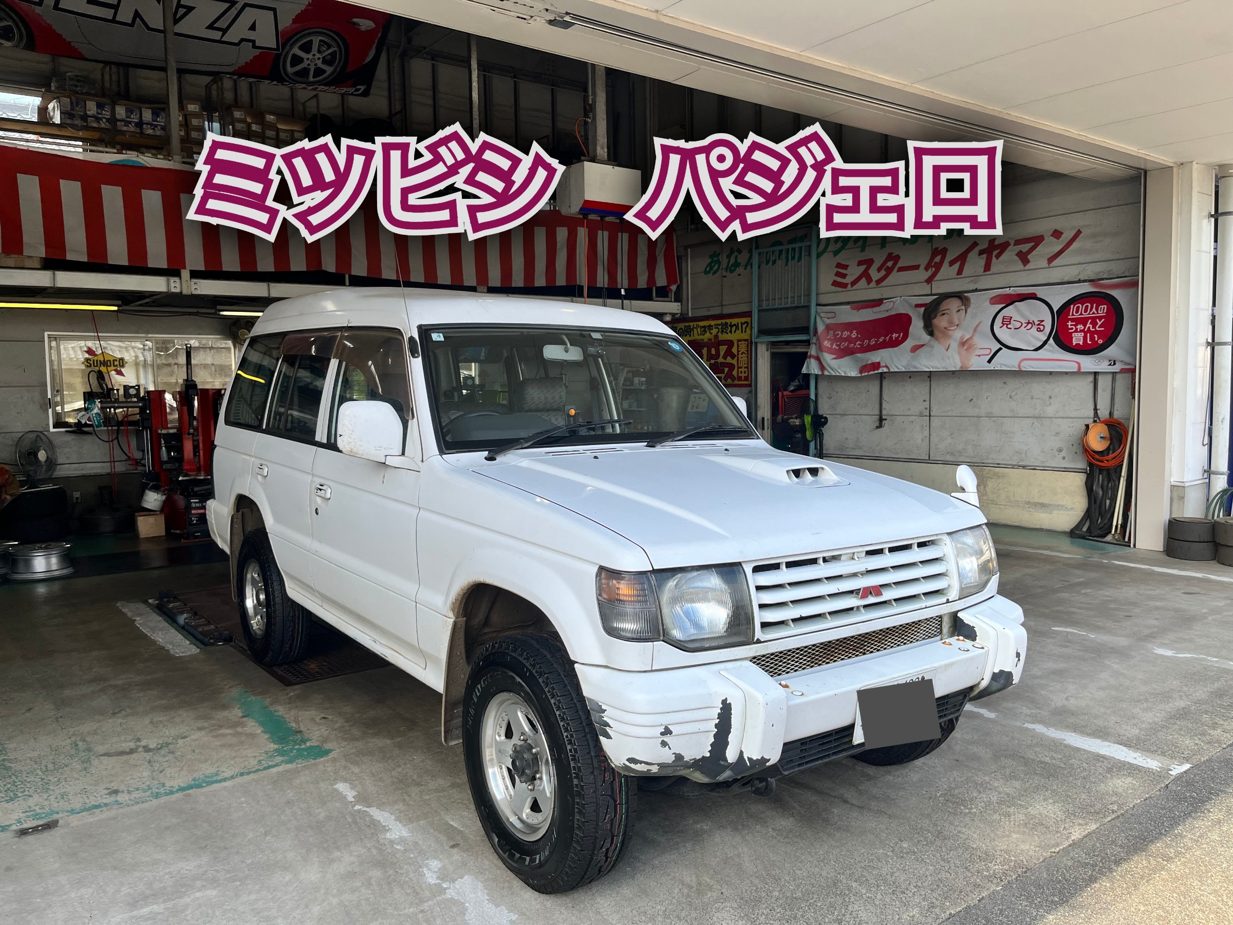 全体