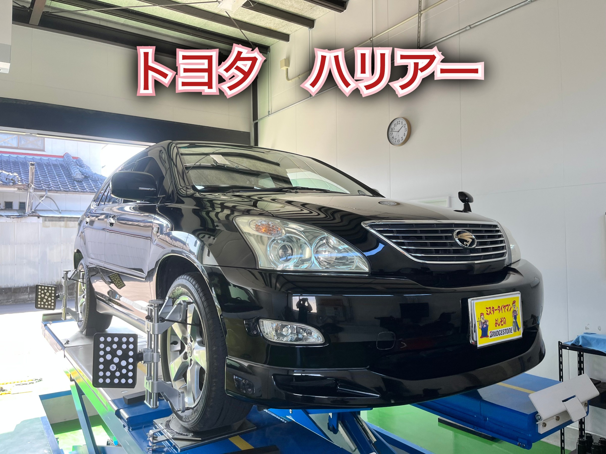 全体