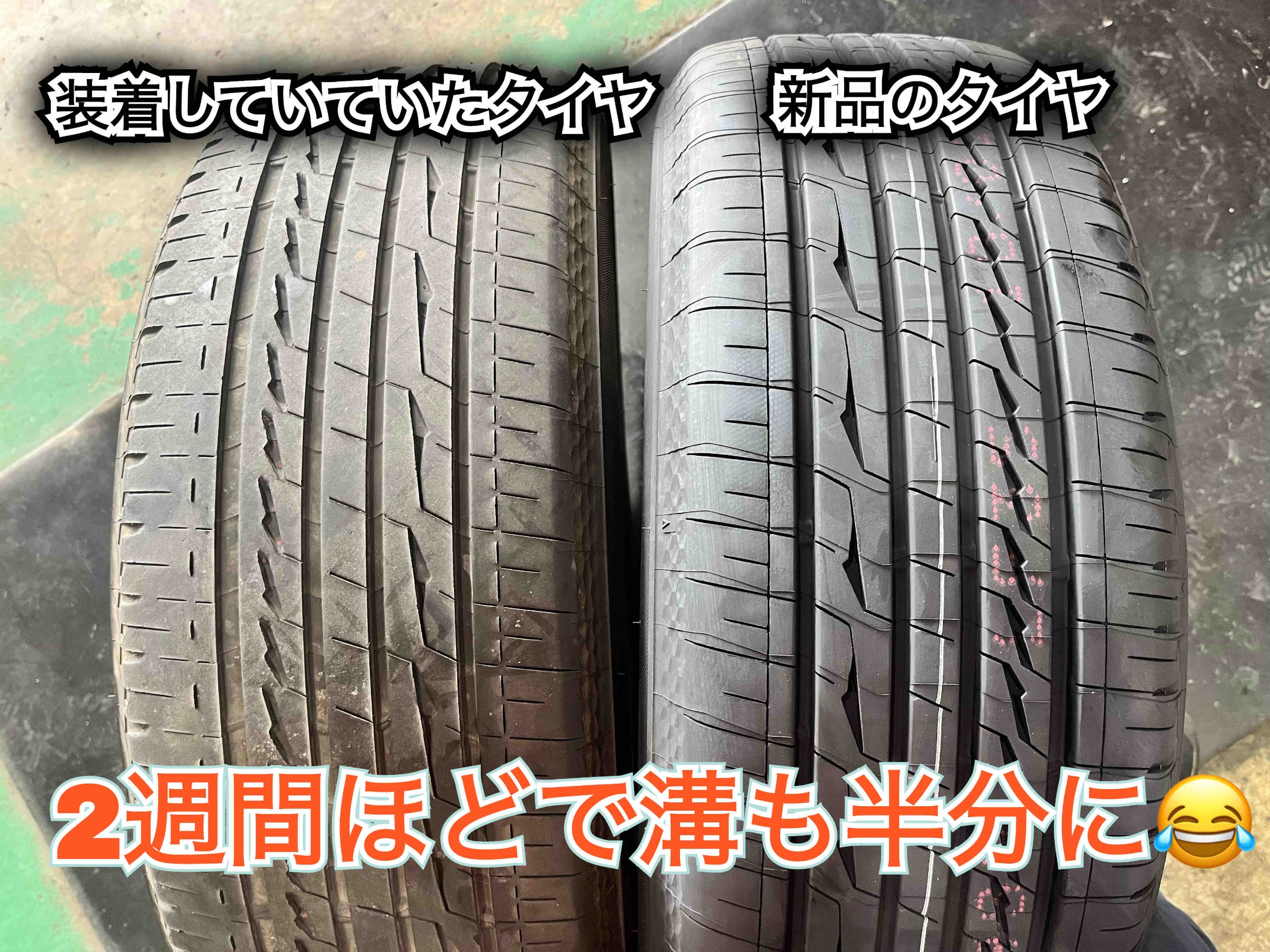 全体