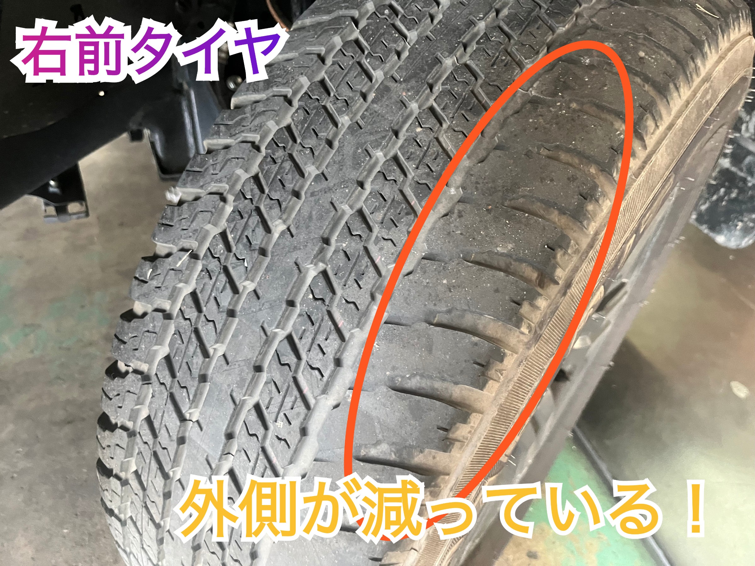 全体