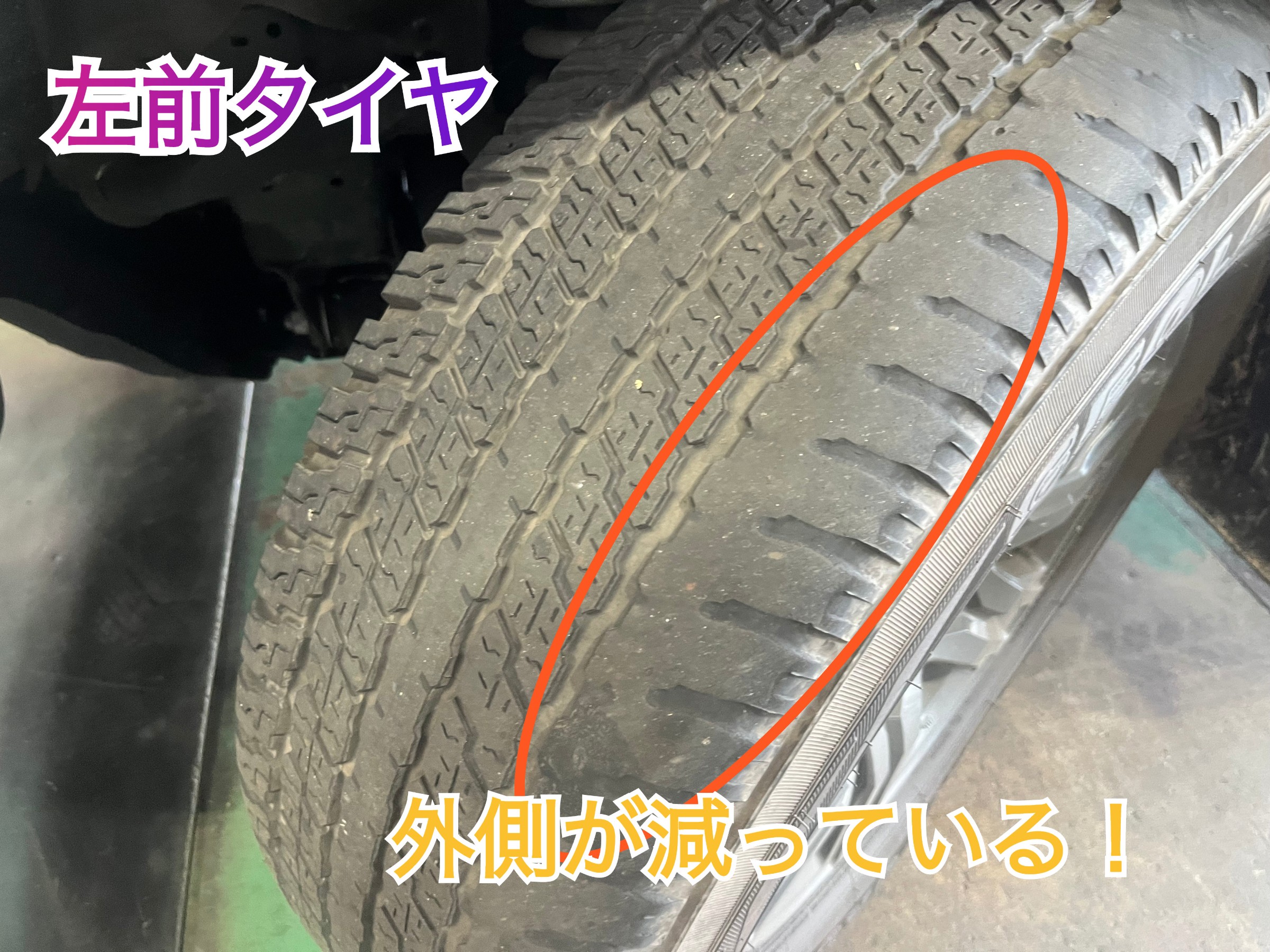 全体