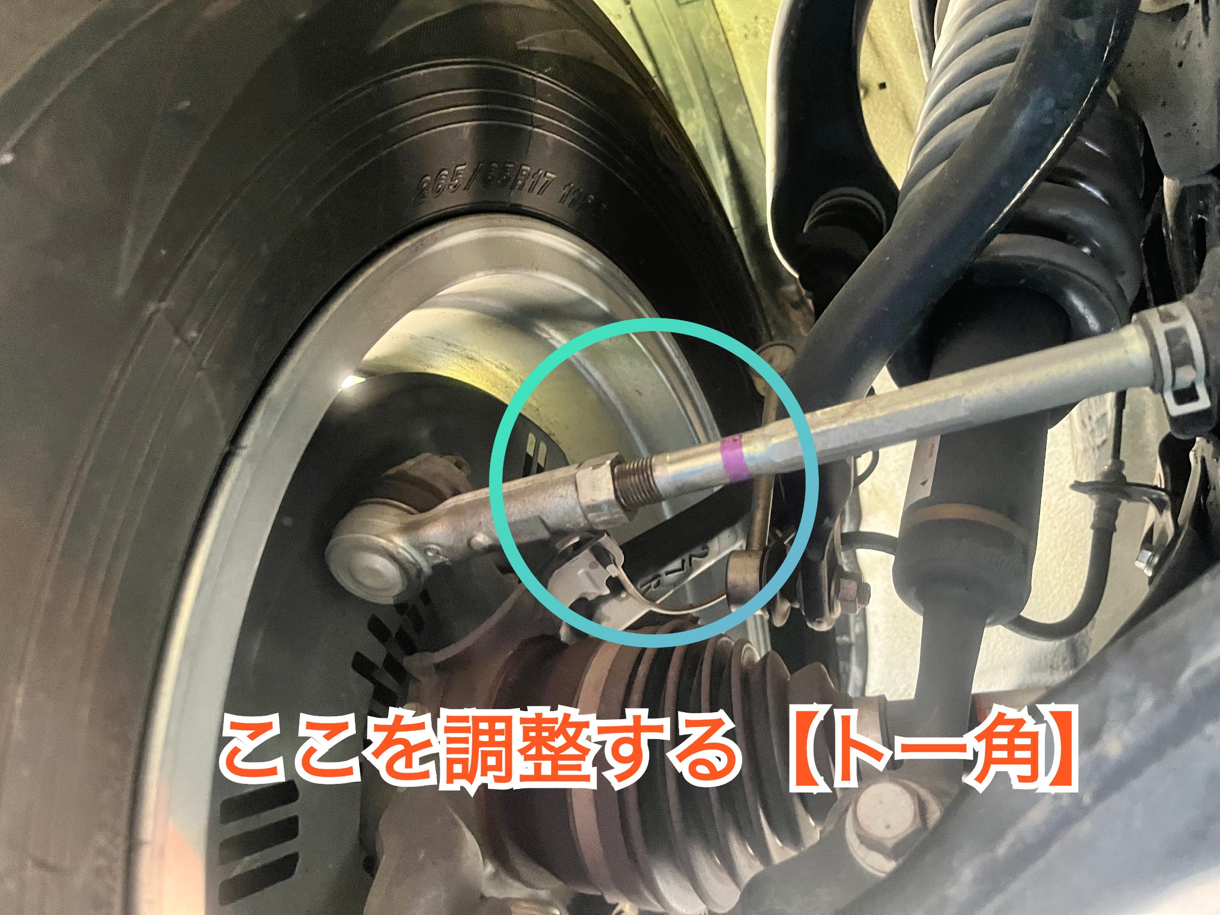 全体