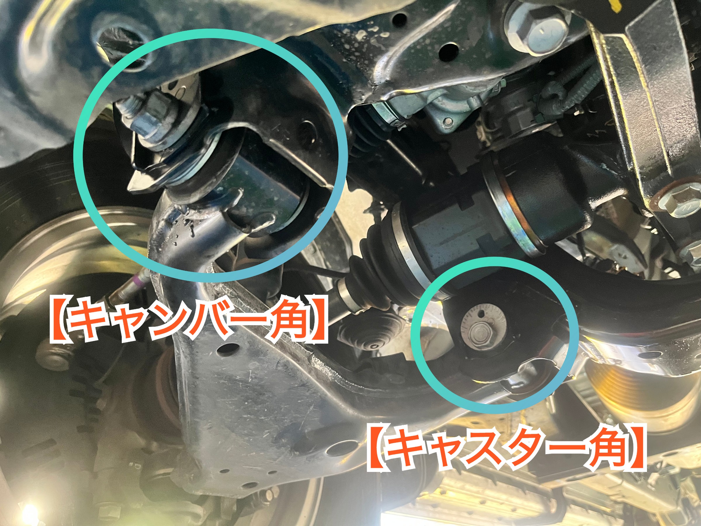 全体