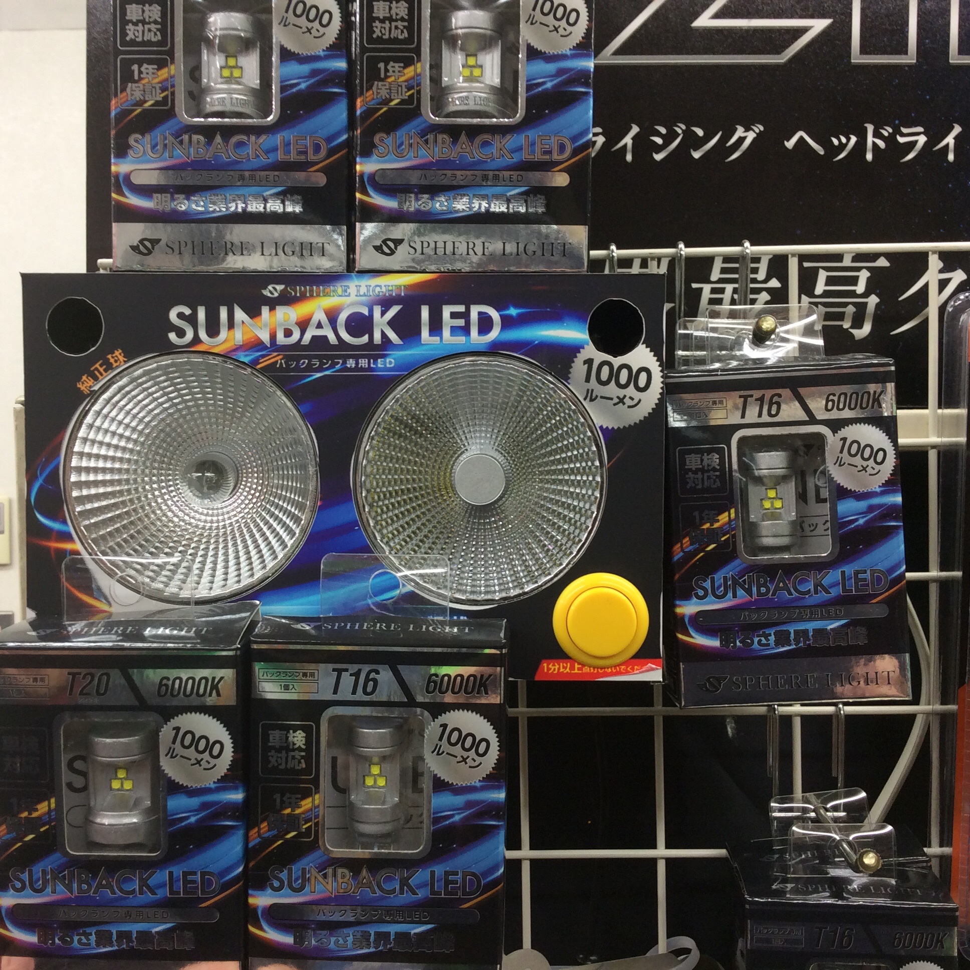 すたっふがとったしゃしんです