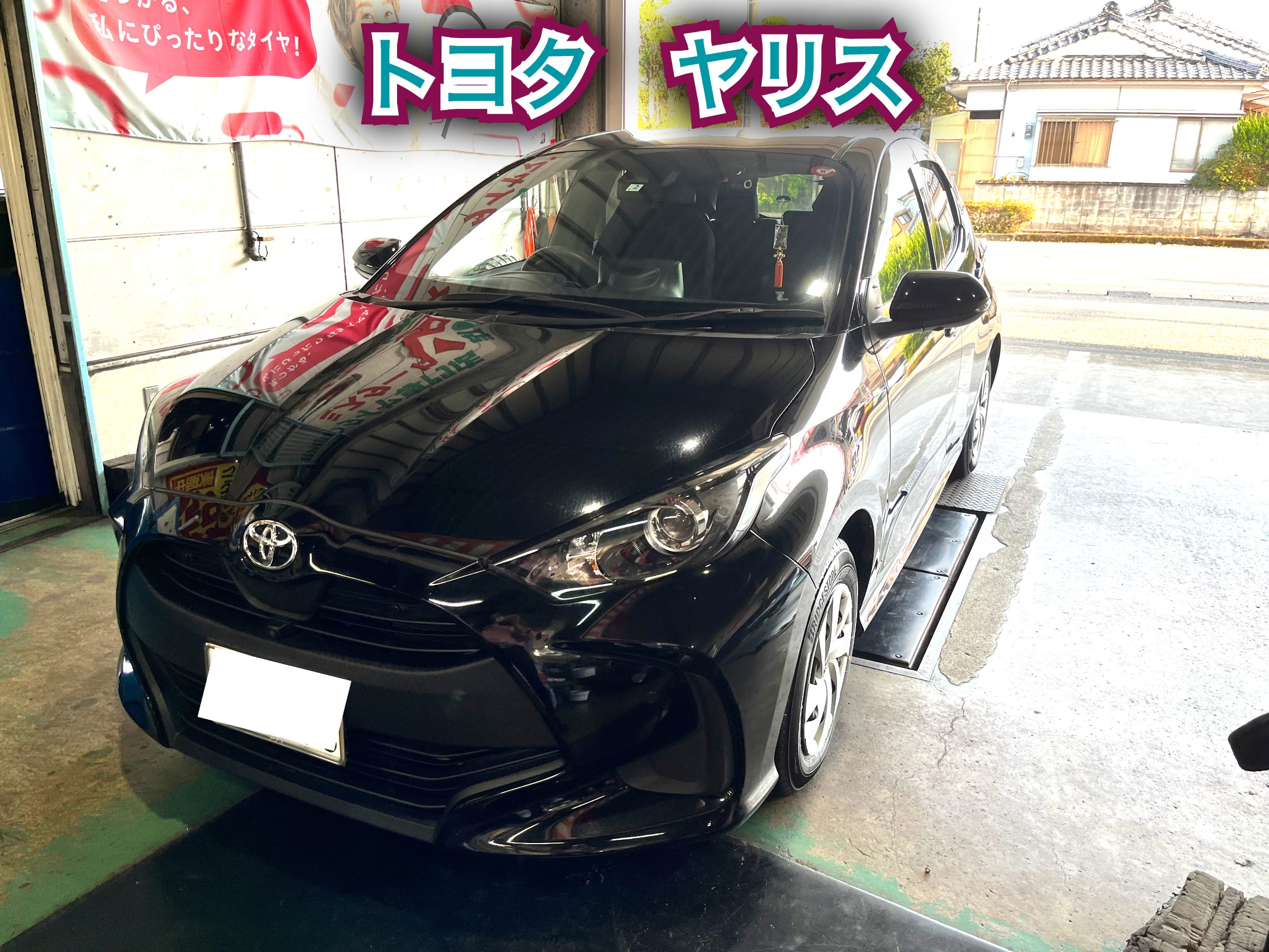 全体