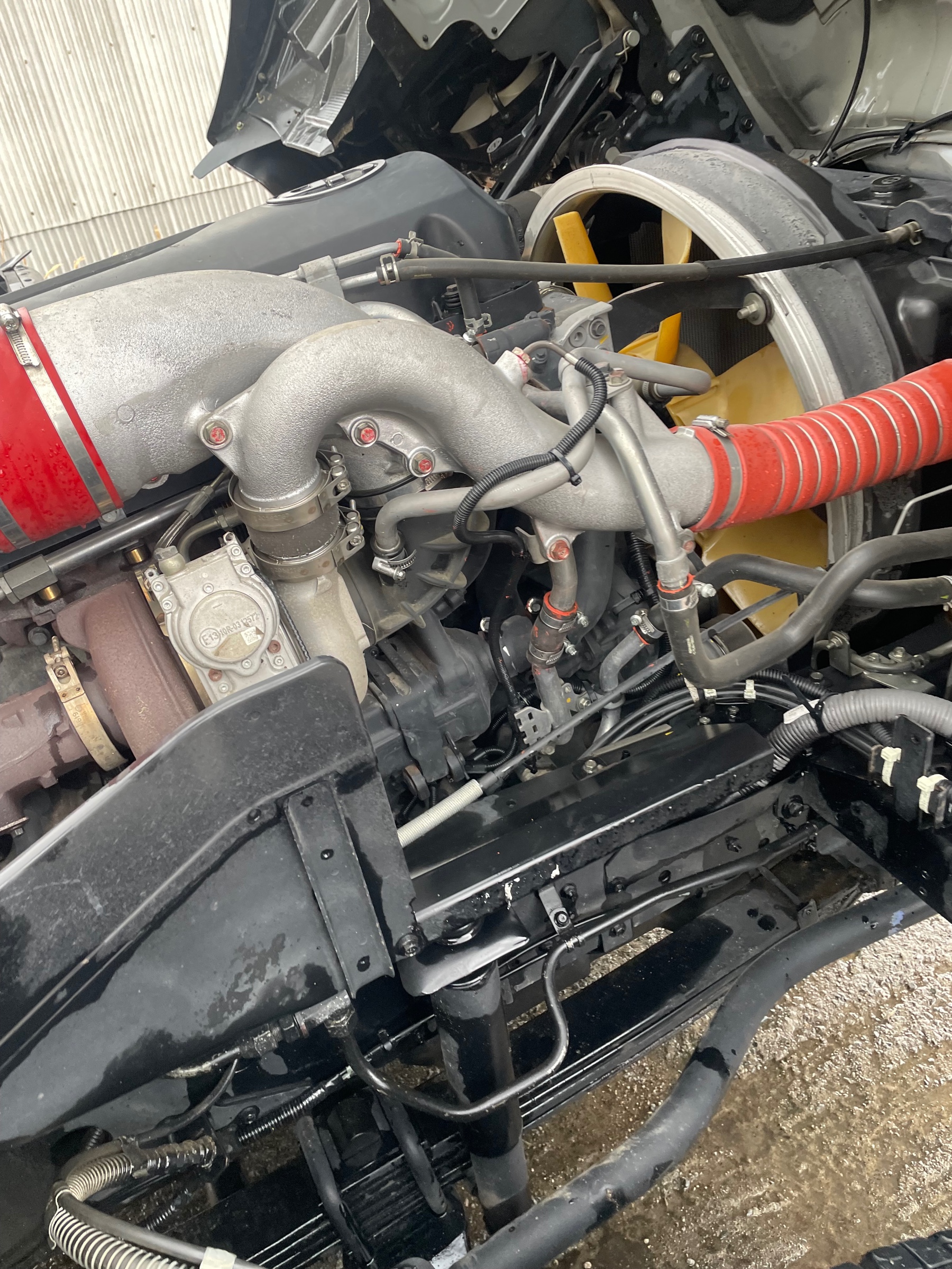 内臓的なところ。。