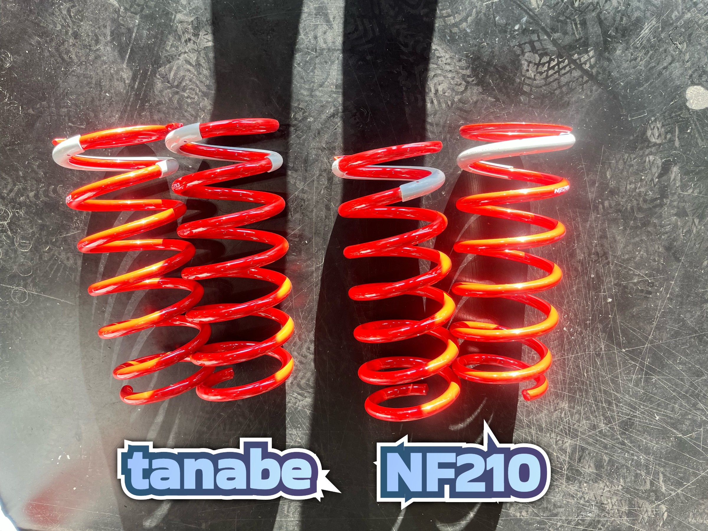 全体