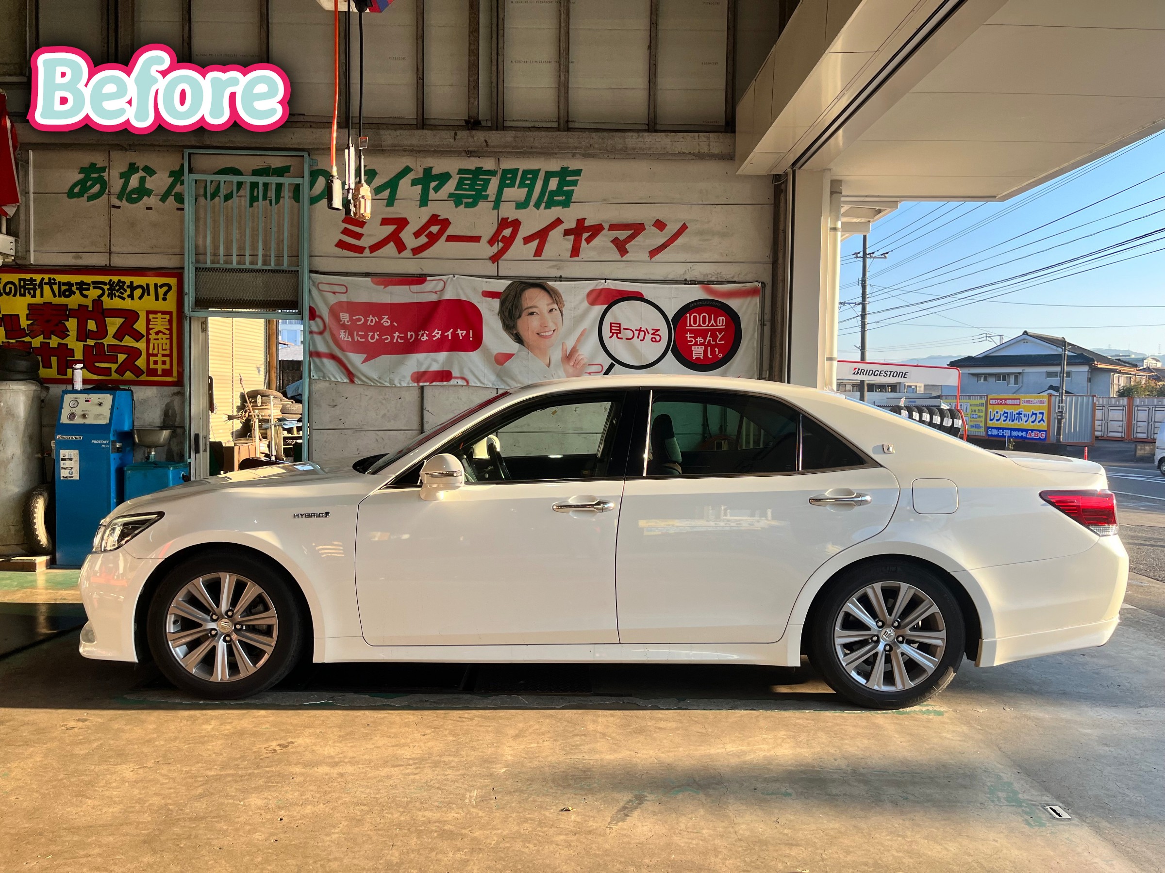 全体