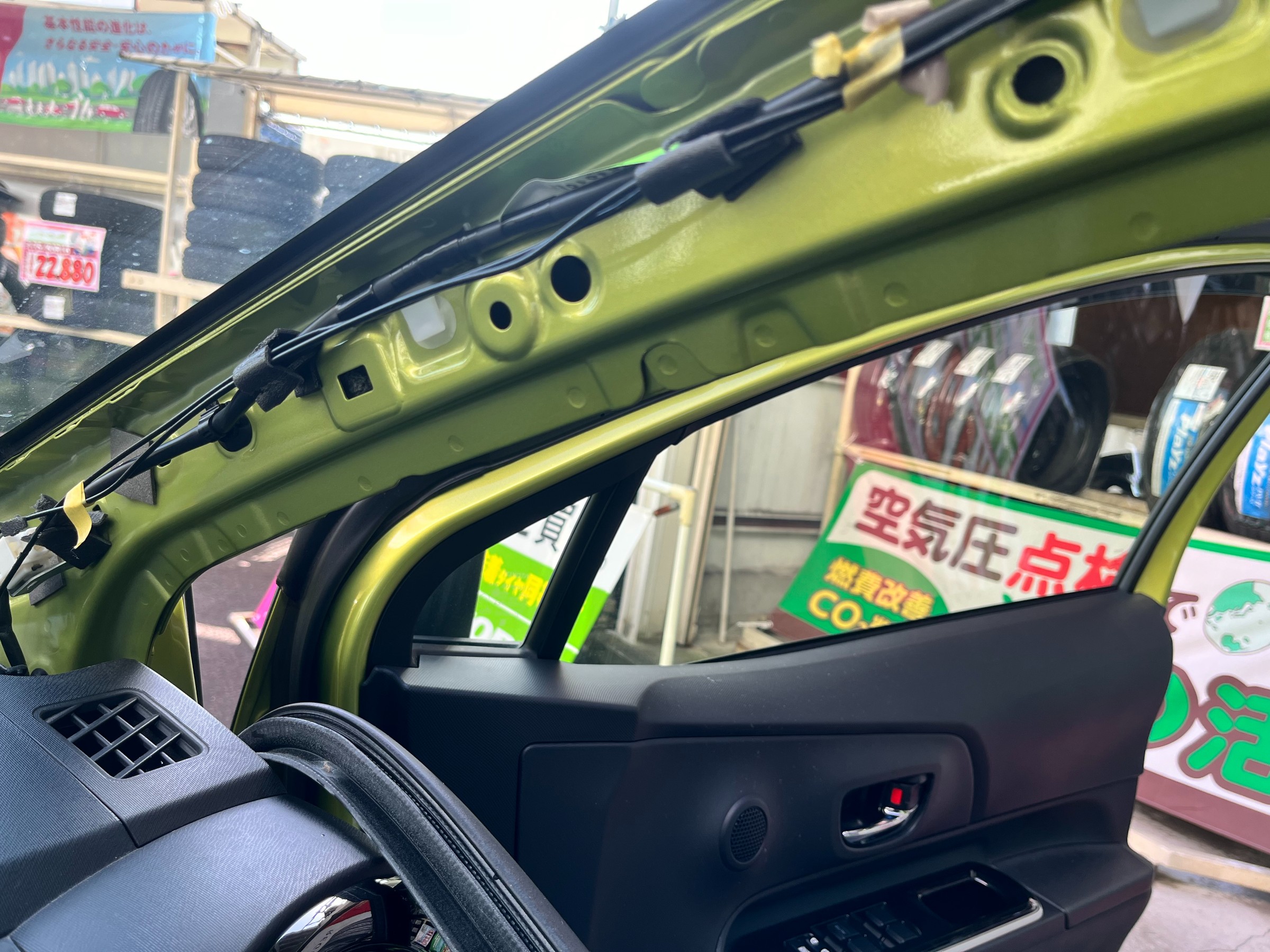 全体