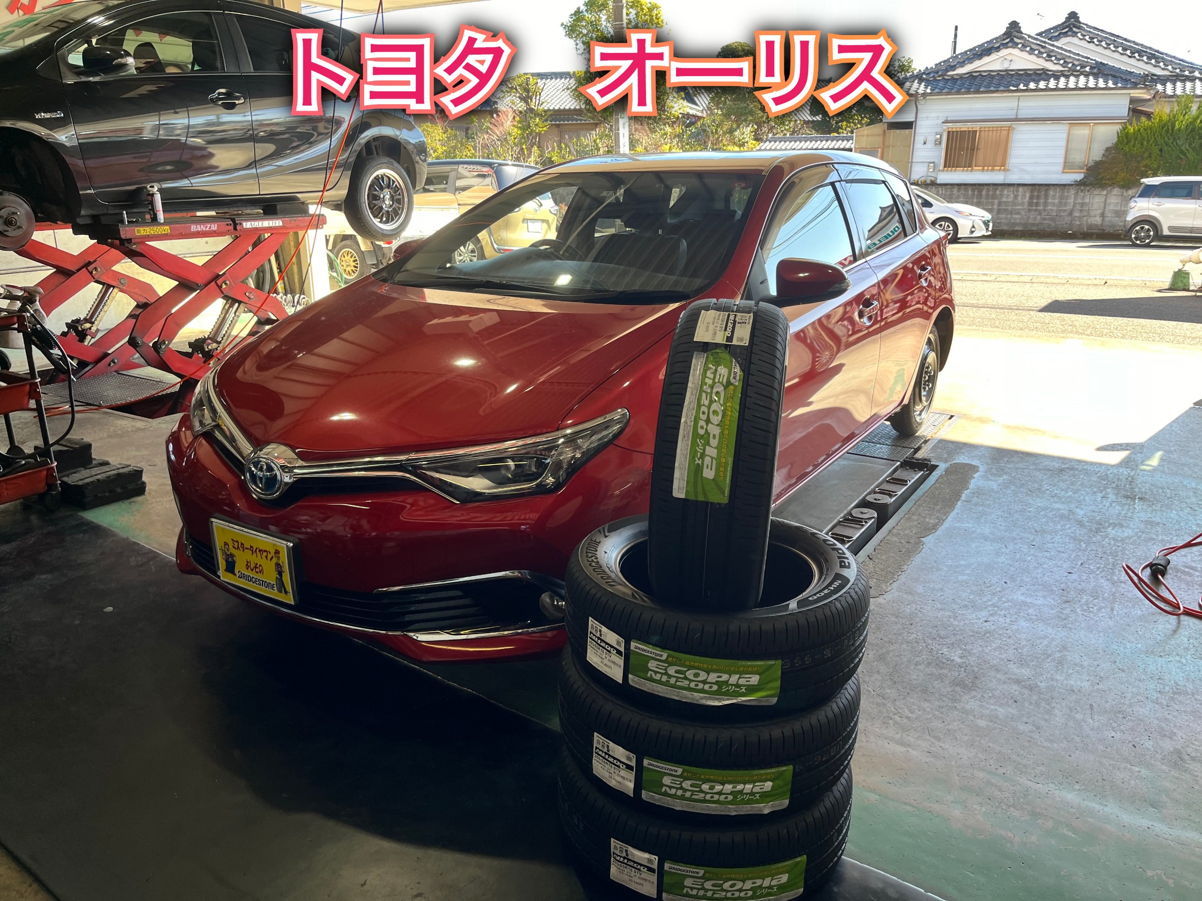全体