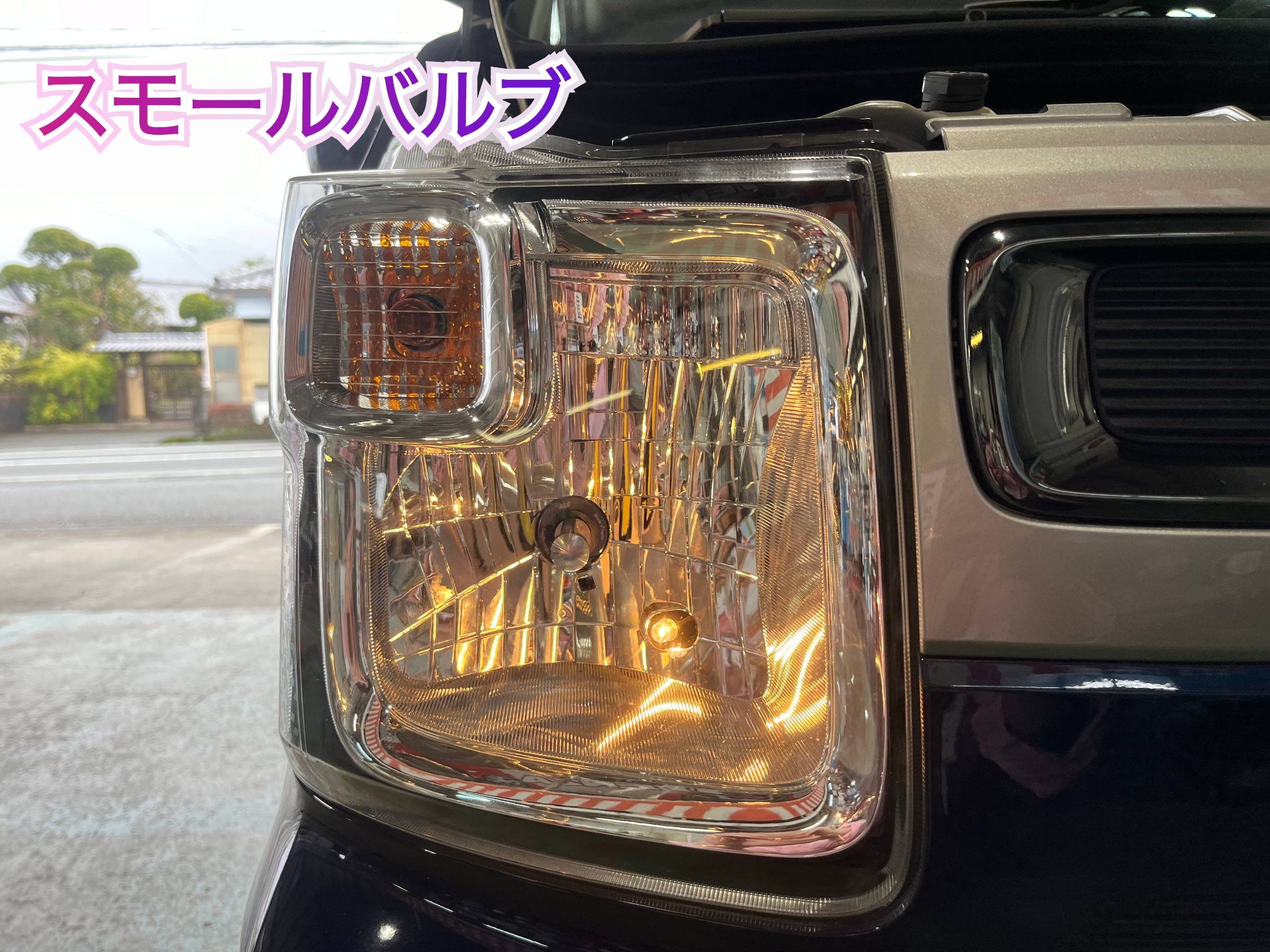 全体
